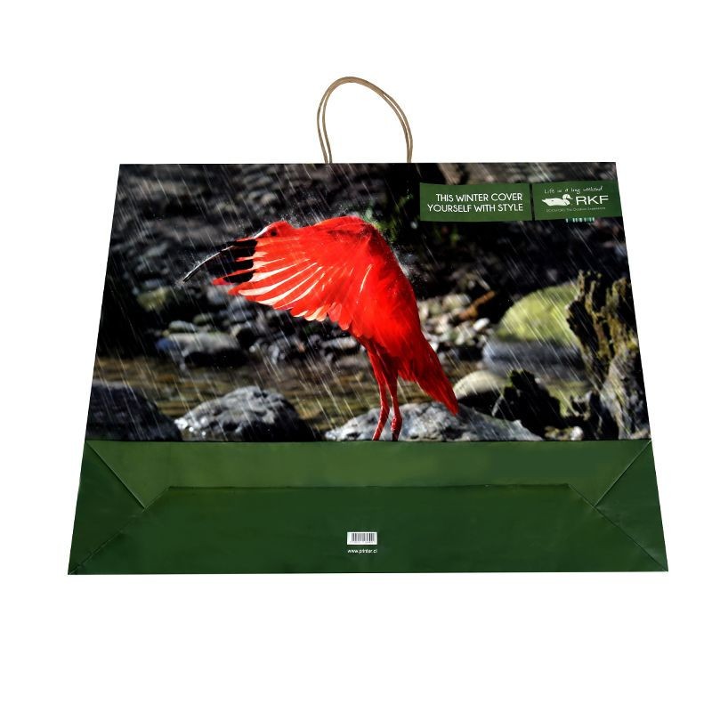 printed paper shopping bag with costomer design