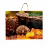 printed paper shopping bag with costomer design