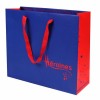 Luxury Shopping  Paper Bag with Logo