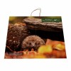 printed paper shopping bag with costomer design