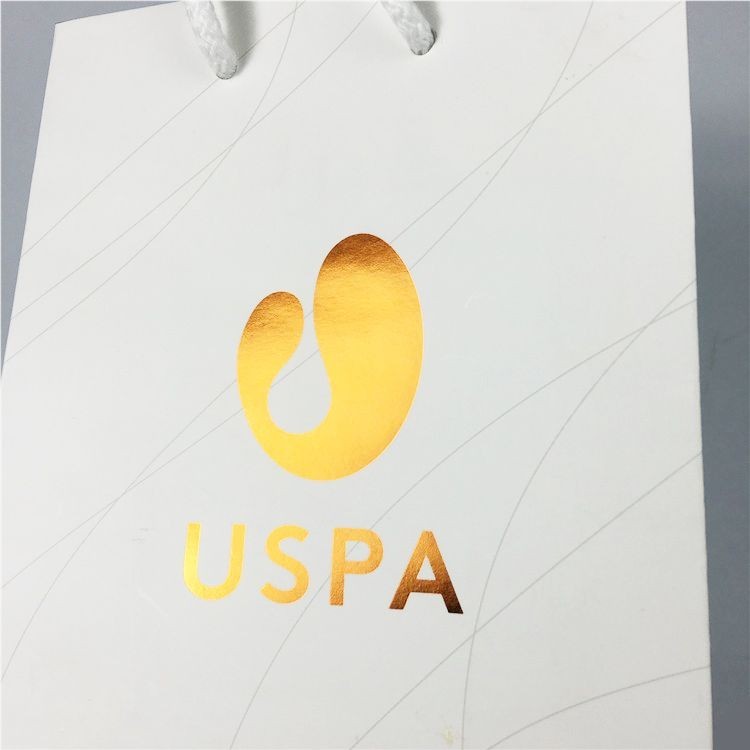 High Quantity Shopping Paper Bag for Clothing Custom Design Printing High End Paper Bag