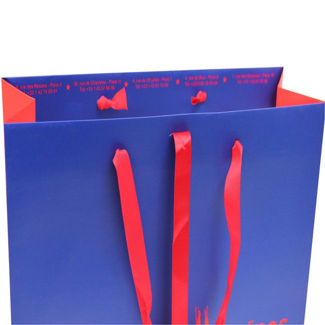 Luxury Shopping  Paper Bag with Logo