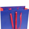 Luxury Shopping  Paper Bag with Logo